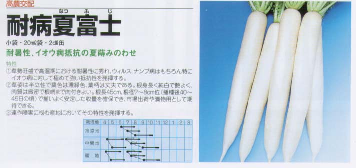 【ダイコン】耐病夏富士〔高農交配〕/小袋