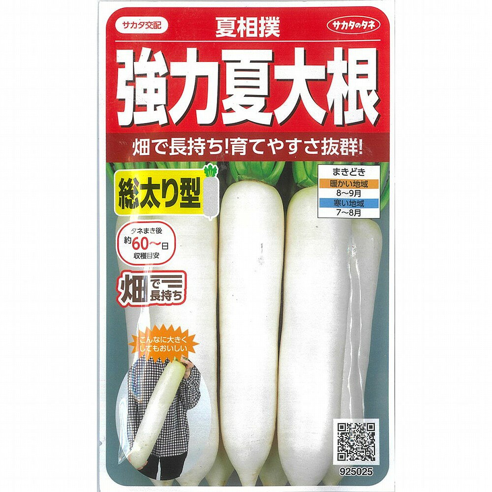 【ダイコン】強力夏大根　夏相撲〔サカタ交配〕/小袋（約175粒）