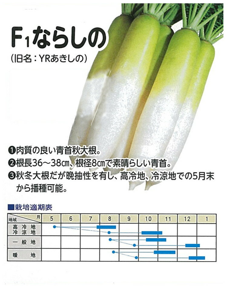 【ダイコン】ならしの（旧名：YRあきしの）〔天理交配〕/小袋（5.0ml）