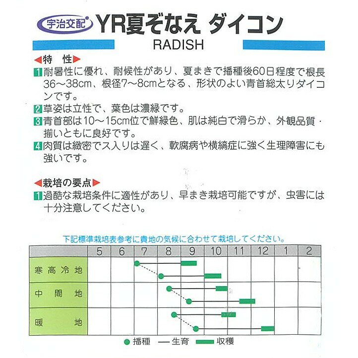 【ダイコン】YR夏ぞなえ〔宇治交配〕/小袋（3.5ml） 2