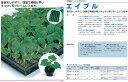 【台木用品種】キュウリ用 エイブル〔タキイ交配〕/350粒