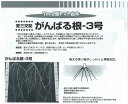 【台木用品種】トマト用 がんばる根3号〔愛三交配〕/100粒
