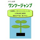 メロン台木　ワンツージャンプ〔朝日アグリア〕/100粒