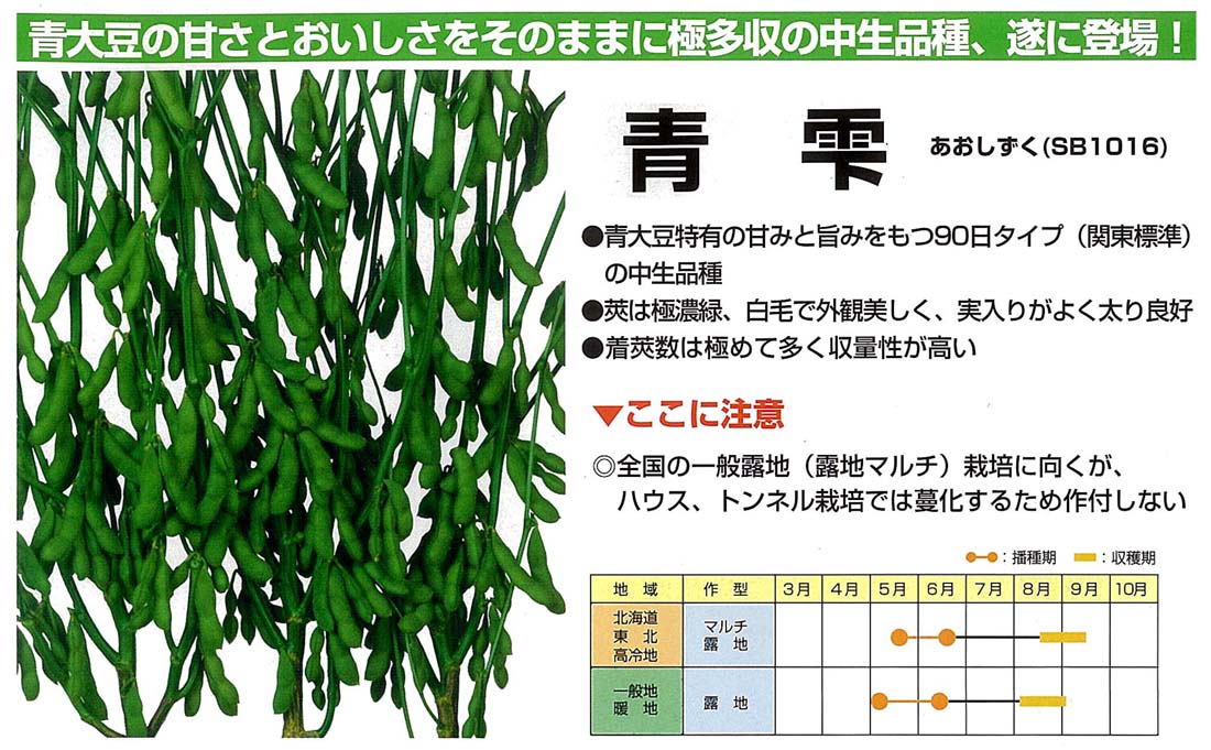 【エダマメ】青雫〔雪印〕《登録品種》品種名青雫　海外持出禁止（公示（農水省HP）参照）/70ml