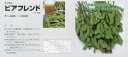 【エダマメ】ビアフレンド〔タキイ〕/小袋(35.0ml)