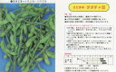 【エダマメ】ダダ茶豆〔本場産〕/小袋(40ml)
