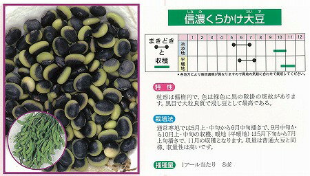 【エダマメ】信濃くらかけ大豆〔固定種〕/小袋（60ml）