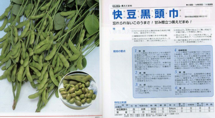 【エダマメ】快豆黒頭巾（かいとうくろずきん）〔タキイ〕/小袋（35.0ml）