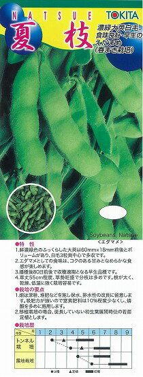 【エダマメ】夏枝〔トキタ〕/小袋（50.0ml）
