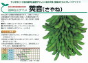 【エダマメ】莢音〔雪印〕《登録品種》品種名莢音 海外持出禁止(公示(農水省HP)参照)/70ml