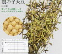 【エダマメ】鶴の子大豆〔固定種0061〕/小袋(60.0ml)