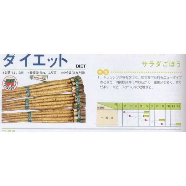 【ゴボウ】ダイエット〔サカタ〕/小袋（10ml）