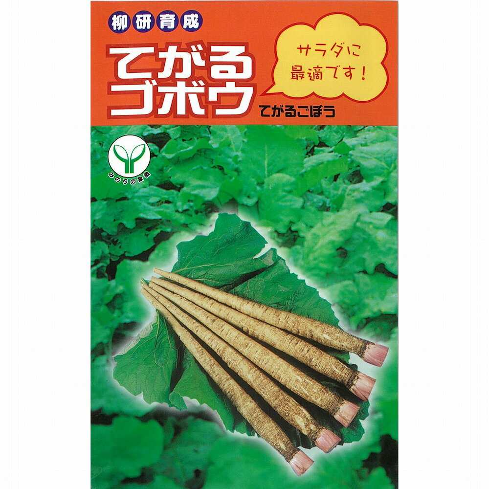 【ゴボウ】てがるゴボウ〔柳川採種研究会〕/小袋（8ml）