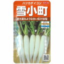 【二十日大根】雪小町〔サカタ〕/小袋(9ml)