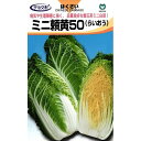 【ハクサイ】ミニ頼黄50〔宇治交配〕/小袋(0.8ml)