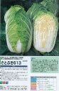 根こぶ病に耐病性があり、食味のよい秋まき黄芯系中早生種。球重3kg前後。