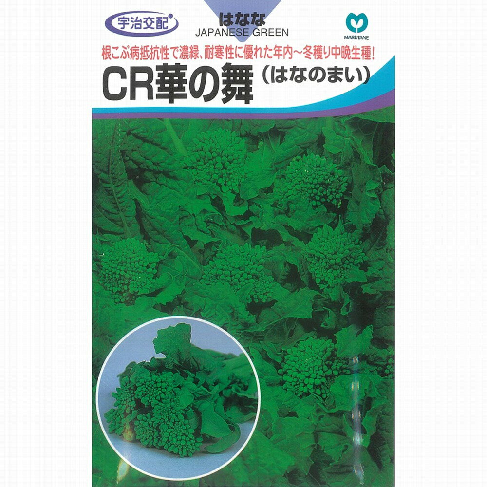 【花菜】CR華の舞〔宇治交配〕/小袋（4ml）