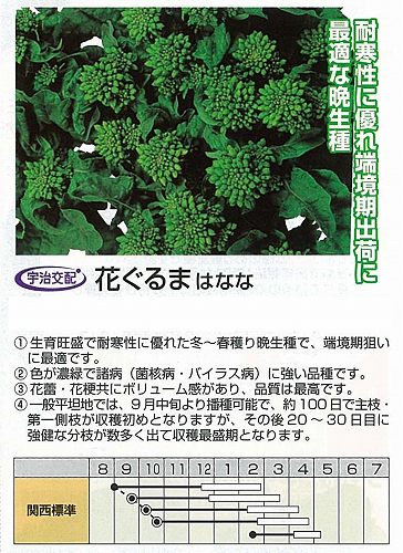 【花菜】花ぐるま〔宇治交配〕/小袋（3ml）