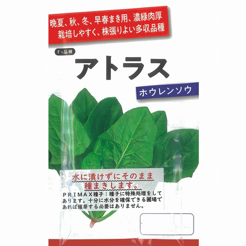 【ホウレンソウ】アトラス〔サカタ交配〕/小袋