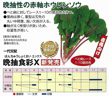 【ホウレンソウ】晩抽食彩X（ばんちゅうしょくさいエックス）〔一代交配〕/小袋