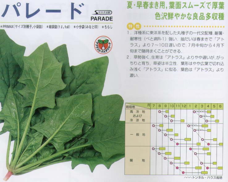 夏・早春まき用。葉形はやや広葉で切れ込みは浅く、色鮮やかな良品多収型。