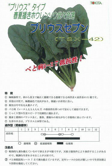 【ホウレンソウ】プリウスセブン〔ダイヤ交配〕/M3万粒