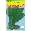 在来種/固定種/無農薬栽培野菜のタネ「畑懐のミニトマト0.2m」畑懐〔はふう〕の種【メール便可】