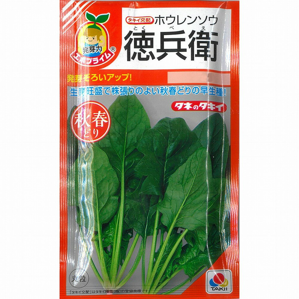 【ホウレンソウ】徳兵衛〔タキイ交配〕/小袋（40.0ml）