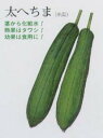 【干瓢・へちま他】太へちま〔固定種0061〕/小袋(35粒)