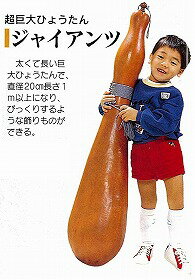 【ヒョウタン】ジャイアンツ〔0327〕/小袋（採苗本数5本）