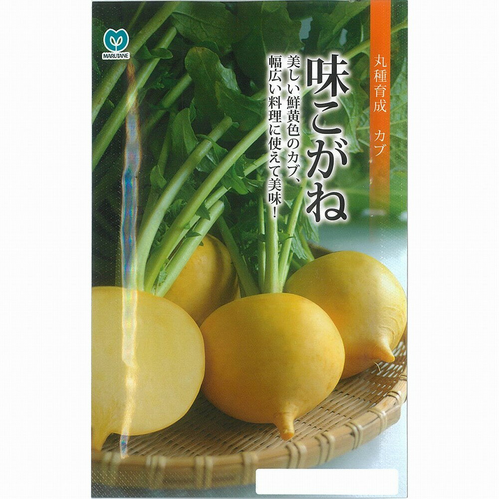 【カブ】味こがね（MKB-599）〔丸種育成〕/小袋（1.8ml）