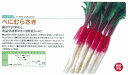 【カブ】F1日野菜 べにむらさき〔博多交配〕/小袋