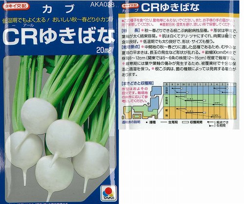 【カブ】CRゆきばな〔タキイ交配〕/小袋（3.0ml）