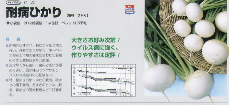 【カブ】耐病ひかり〔タキイ交配〕/小袋（3.5ml）