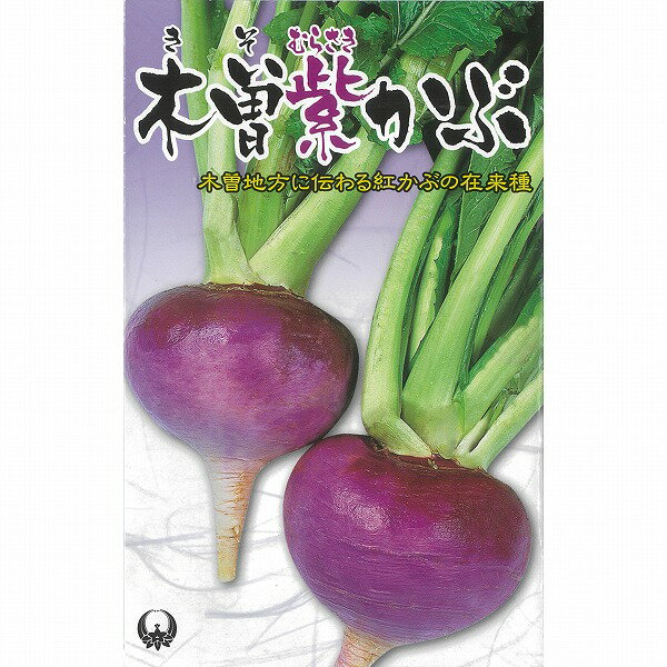 【カブ】木曽紫かぶ〔固定種0043〕/小袋のサムネイル