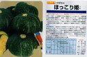 【カボチャ】ほっこり姫〔タキイ交配〕/小袋(9粒)
