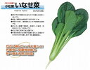 【コマツナ】いなせ菜〔カネコ交配〕/小袋(5.8ml)