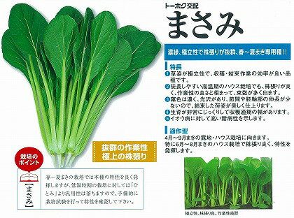 【コマツナ】まさみ〔トーホク交配〕/10ml