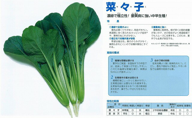 【コマツナ】菜々子〔タキイ交配〕/20ml