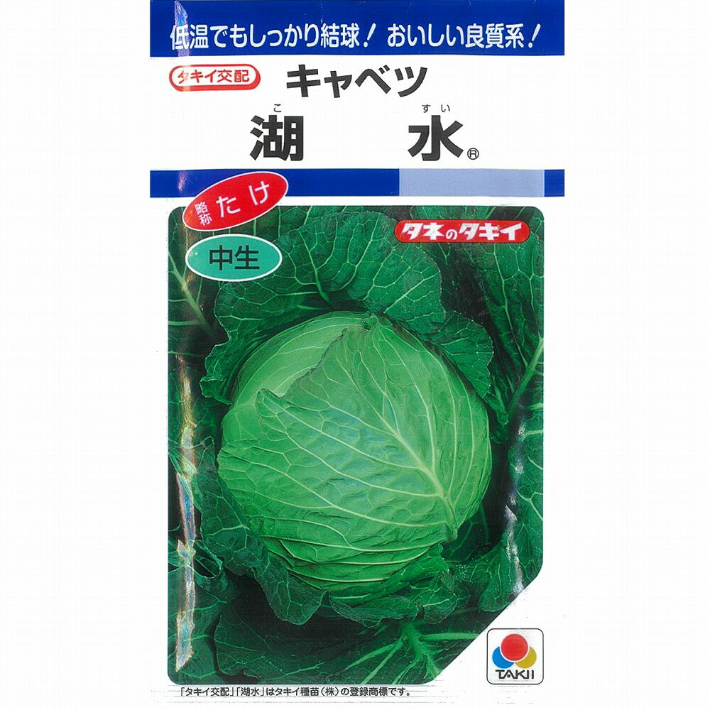 【キャベツ】湖水〔タキイ交配〕/小袋（1.8ml）