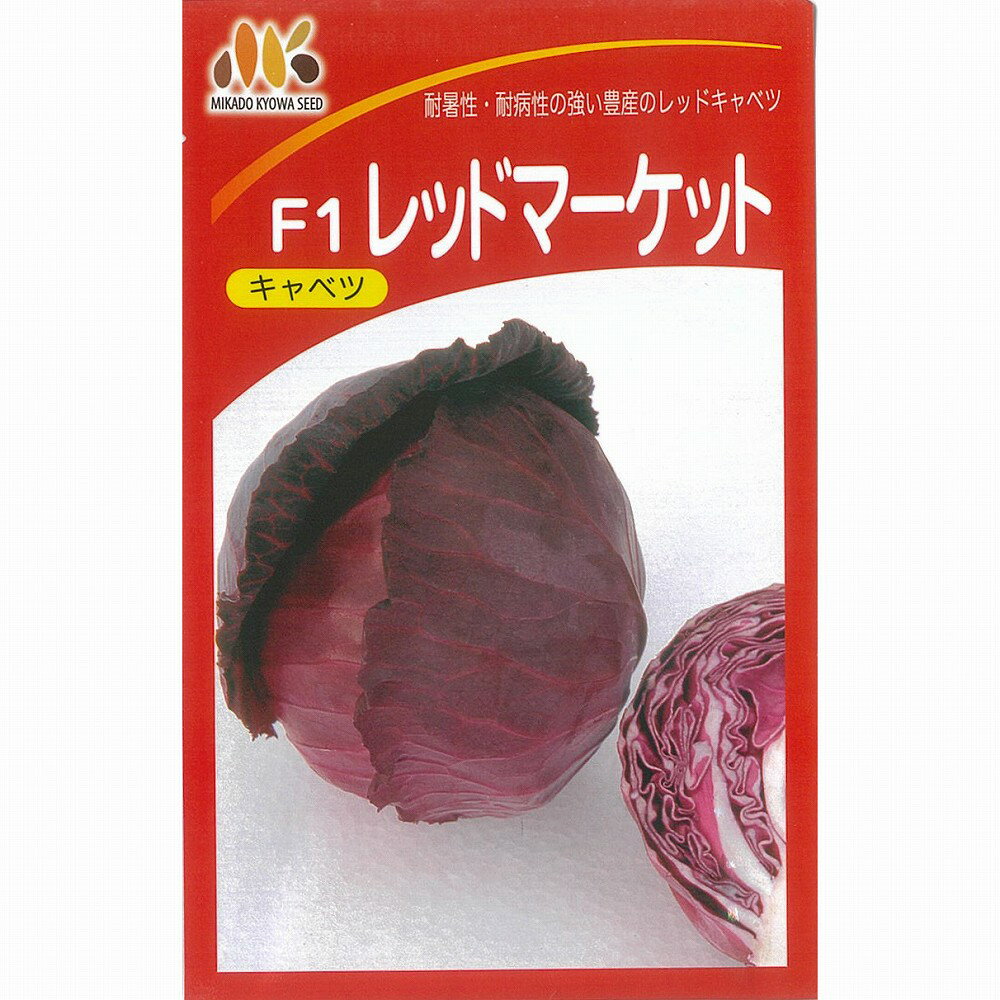 楽天野菜のタネのお買い物　太田のタネ【キャベツ】レッドマーケット〔ヴィルモランみかど〕/小袋（1.5ml）