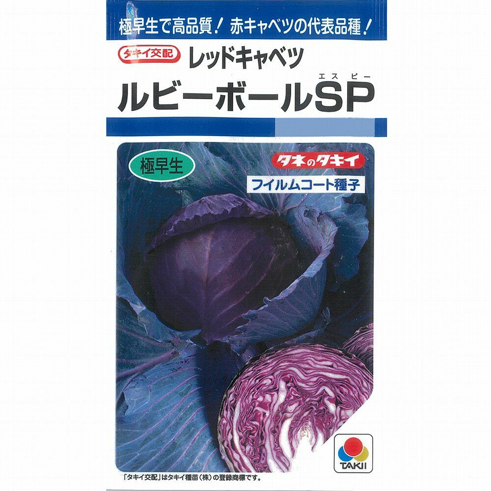 【キャベツ】レッドキャベツ　ルビーボールSP〔タキイ交配〕/小袋（130粒）