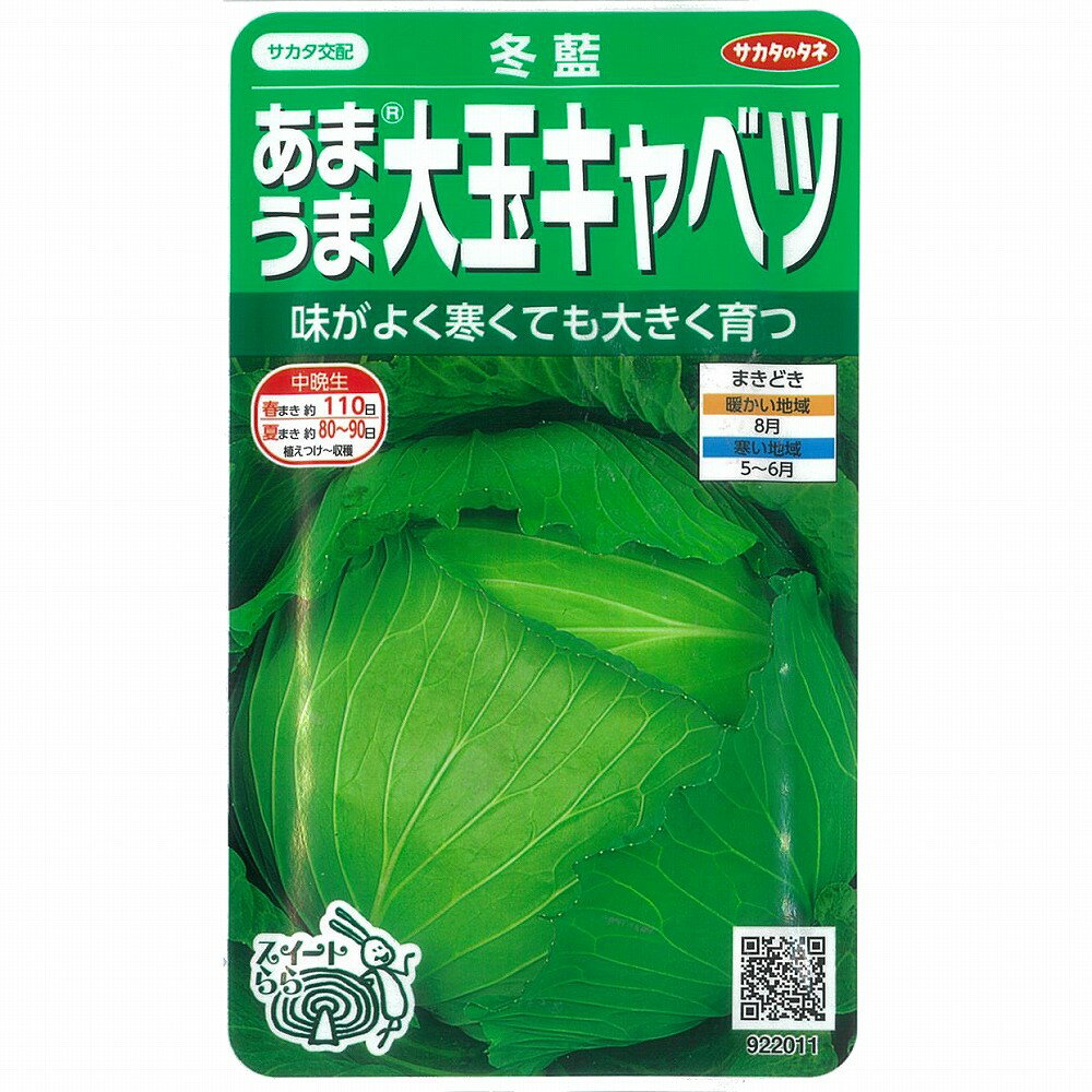 【キャベツ】スイートらら　冬藍〔サカタ交配〕/小袋（0.7ml）のサムネイル