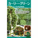 【芽キャベツ・コールラビ・ケール】カーリー・グリーン〔一代交配 0049〕 / 小袋(コート30粒)
