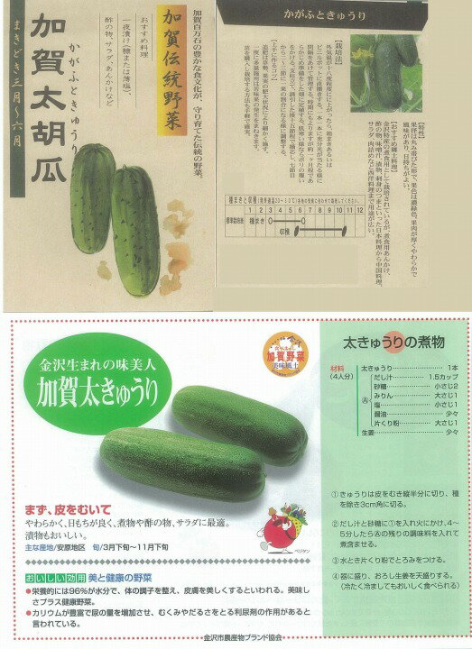 果肉が厚く肉質がやや硬いので煮物に最適。「あんかけ」がポピュラー。果長約20cm、太さ7〜10cm、重さ700〜1000gで漬け瓜と見間違えるほど太くずんぐりしている。