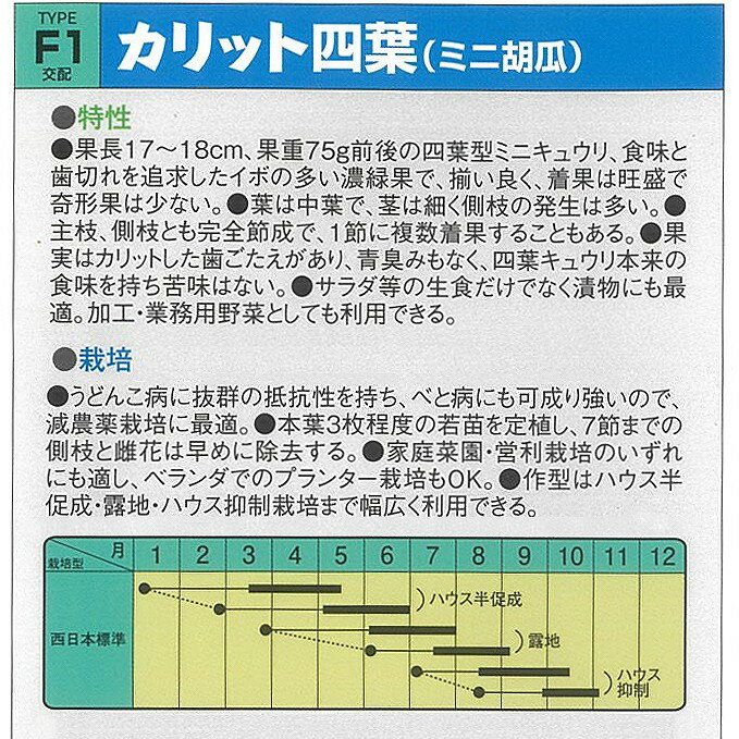 【キュウリ】カリット四葉〔F1交配〕/小袋 2