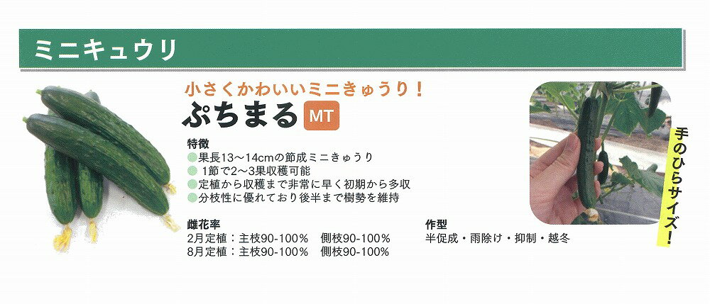 �ڥ��奦��ۥߥ˥��奦�ꡡ�פ��ޤ��0149�� / 100γ