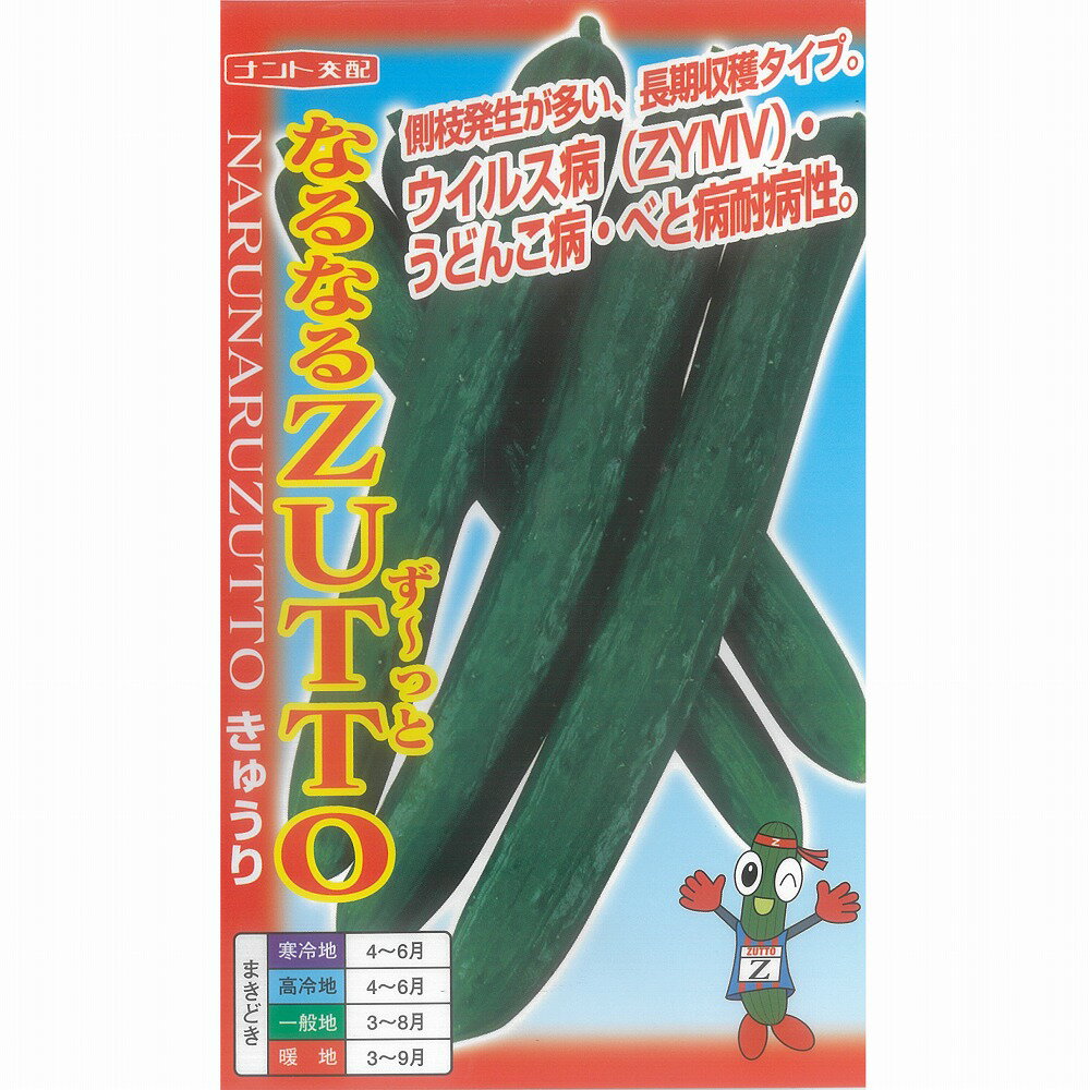 【キュウリ】なるなるZUTTO（なるなるずっと・なるなるズット）〔ナント交配〕/小袋（18粒）