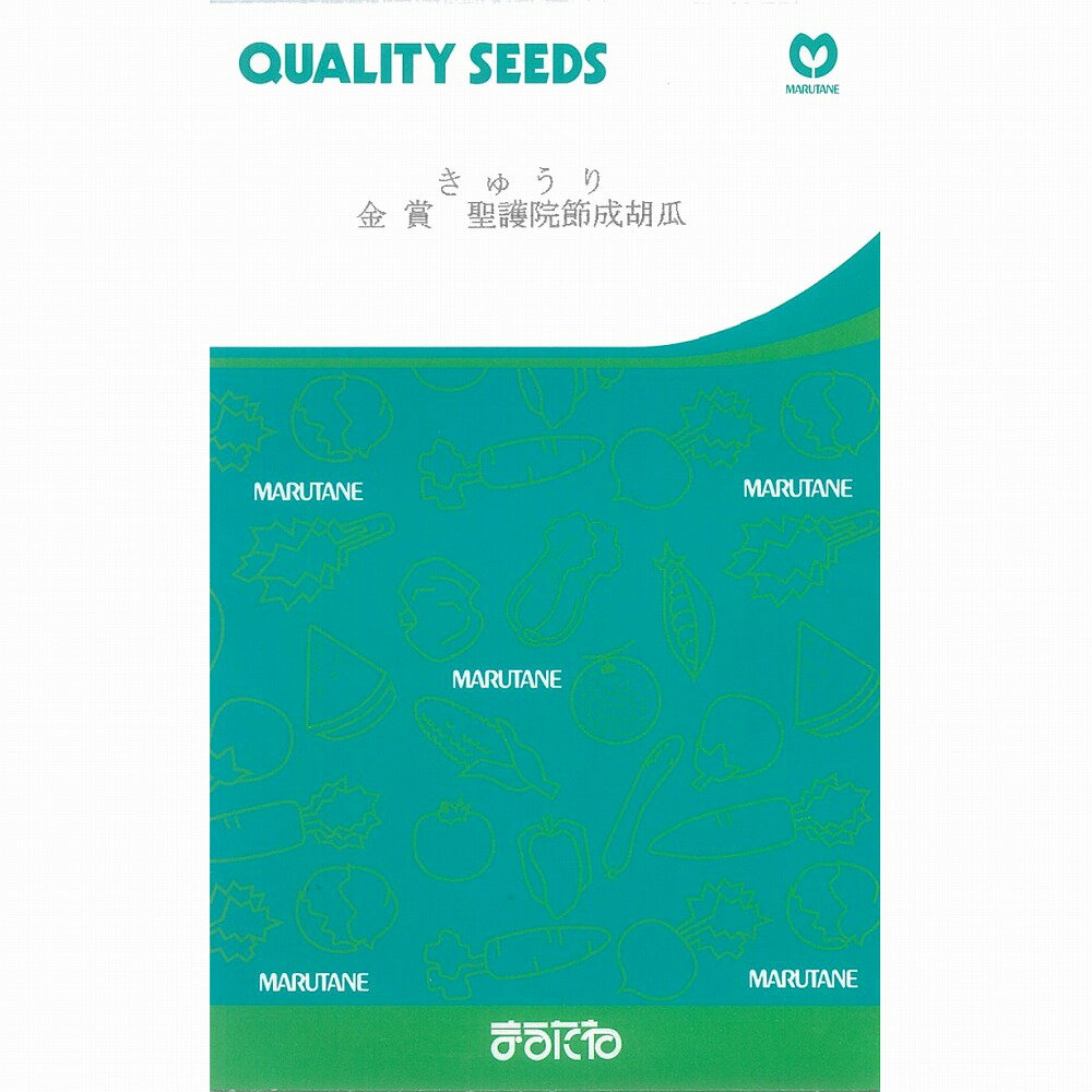 【キュウリ】聖護院節成胡瓜〔固定種0050〕/小袋