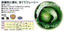 【キャベツ】味珠〔渡辺交配〕/小袋